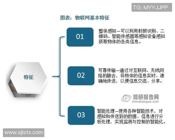 探索uu国际网络分片方案的创新应用与未来发展趋势分析